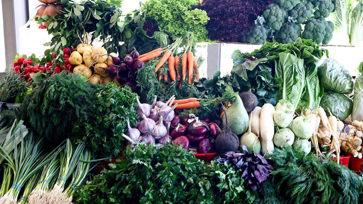    Фото: Ярослав Чингаев / АГН Москва