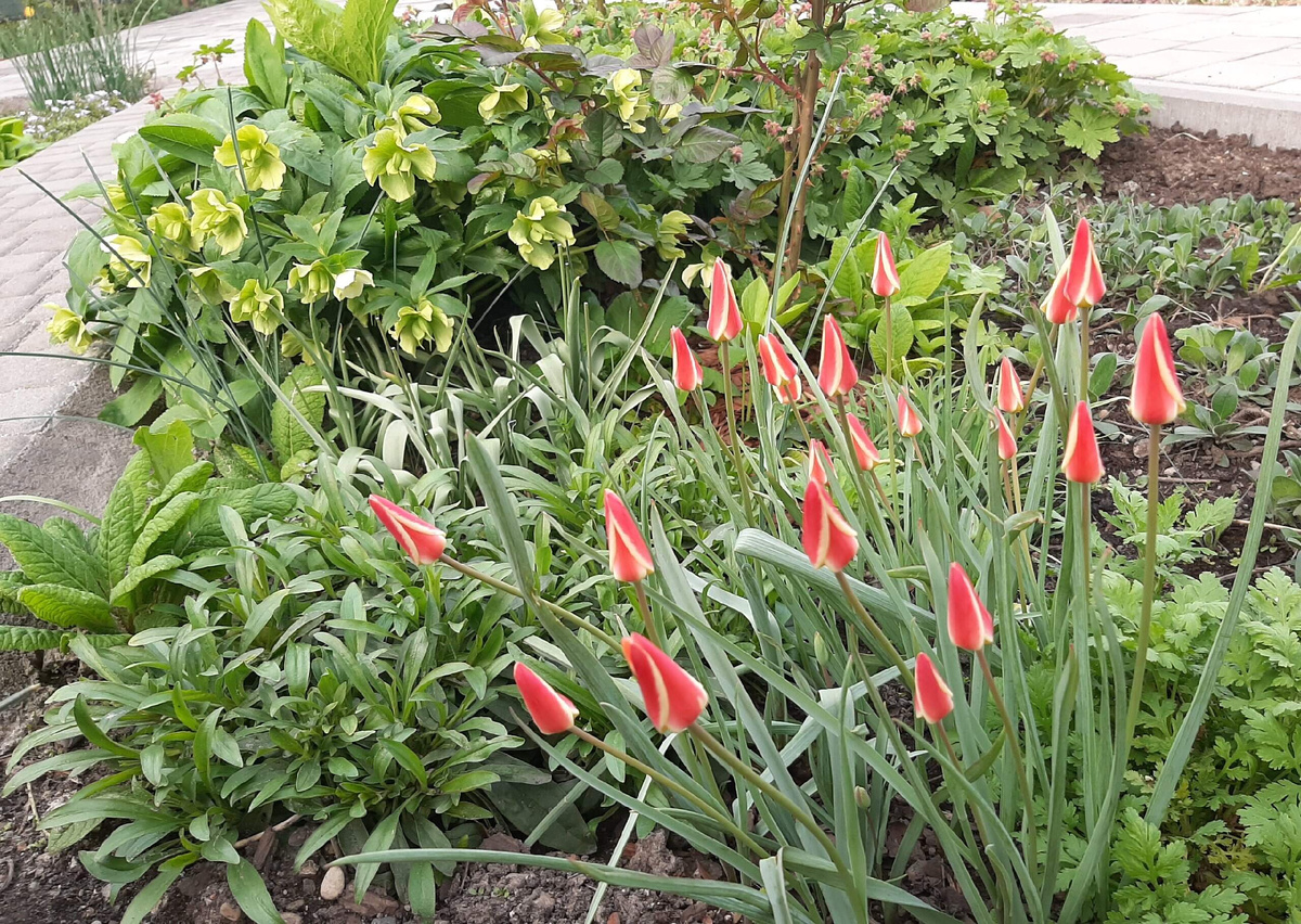 Когда солнце прячетс за тучей