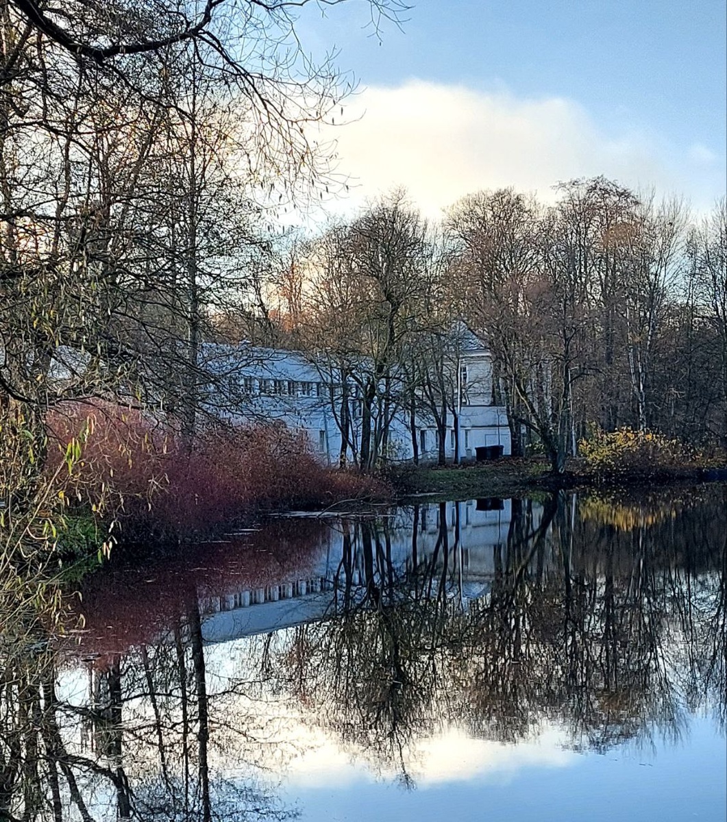 Фото автора. Любимый парк на Елагином острове.