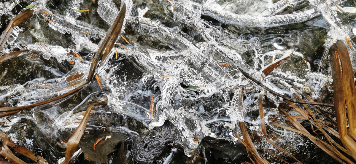 Замерзшая вода на болоте.
