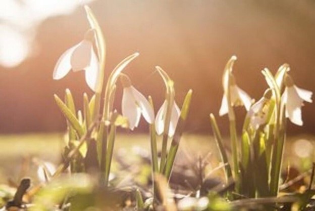 Весной на солнце тепло независимо от температуры воздуха
