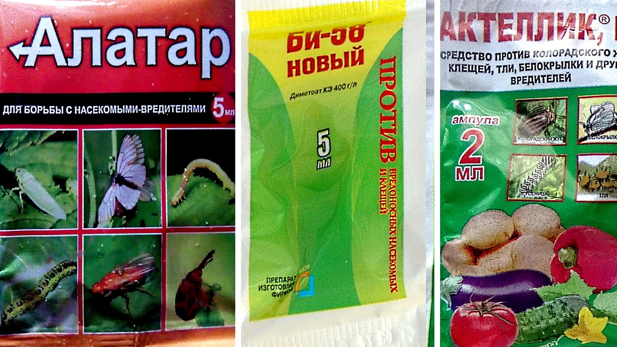 Химические инсектоакарициды против паутинного клеща