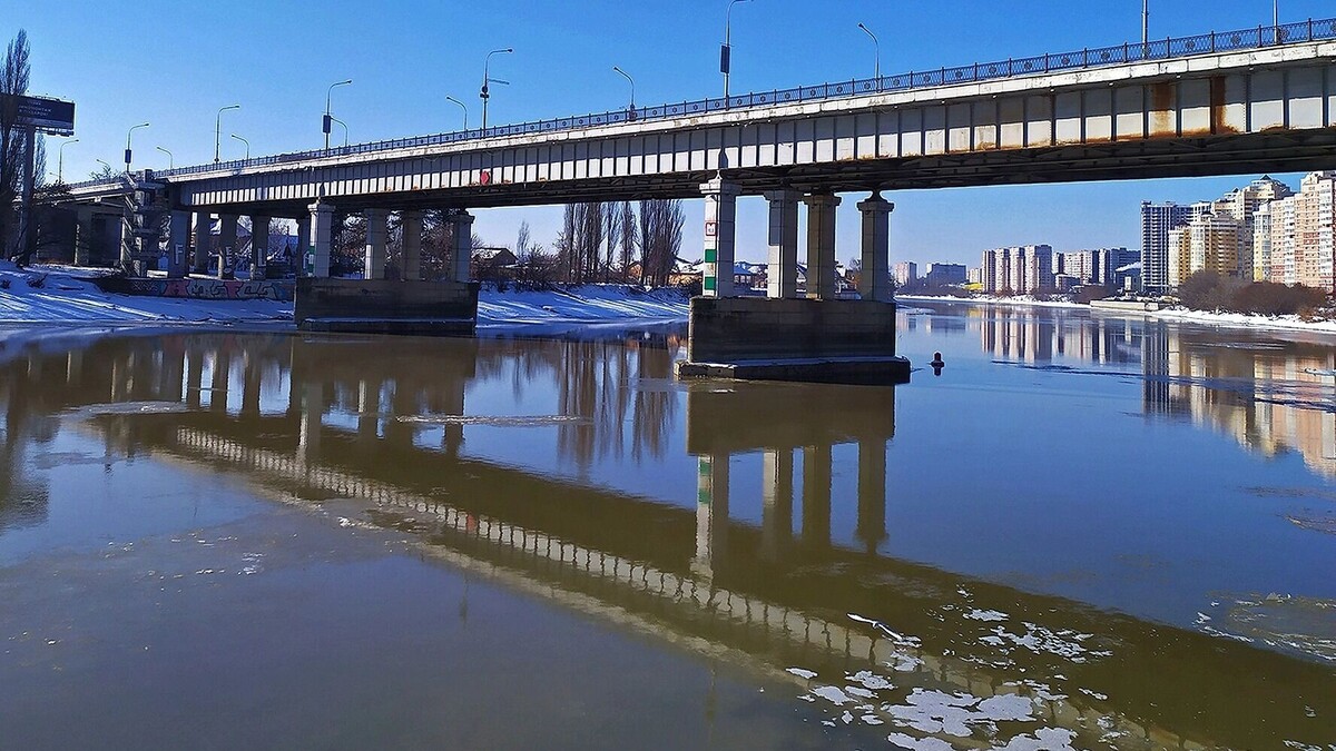     Автор: KubanPress