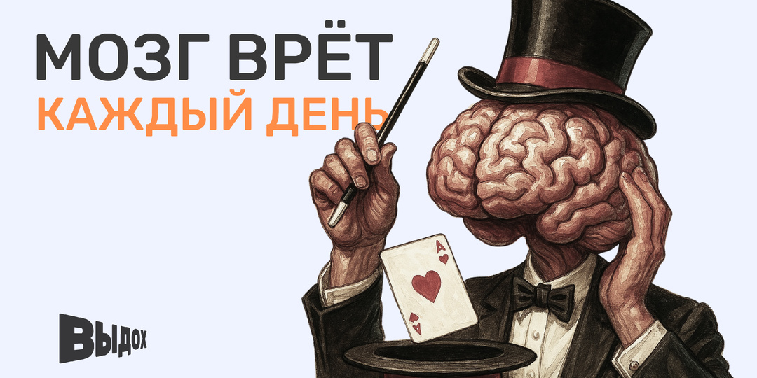 Мозг вам врёт. Каждый день. И вы ему верите.
