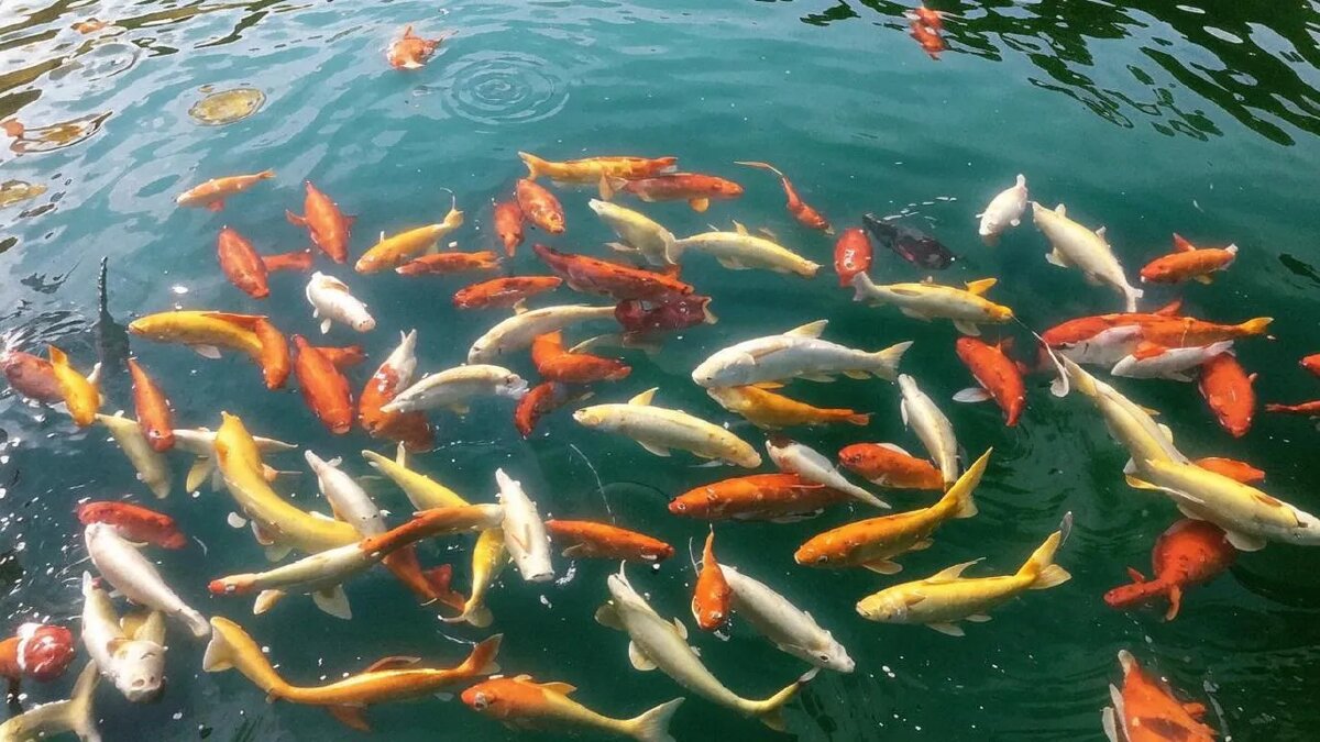    Сгенерировано ИИ