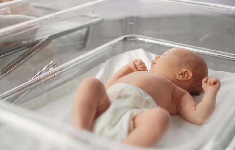    Shutterstock/FOTODOM