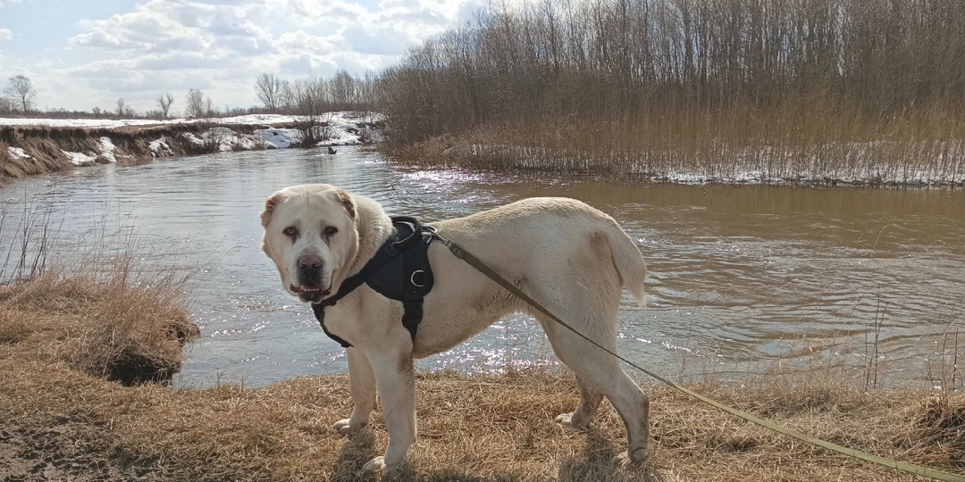 Вопреки Дзену мы будем продолжать делать видео и радовать вас, дорогие друзья