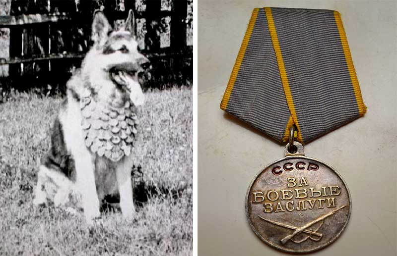 80 лет назад: Маленькие герои большой войны.