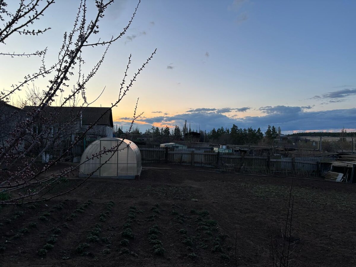 Вечером фото дочери