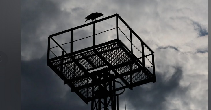 Фото Алексея Коверзнева