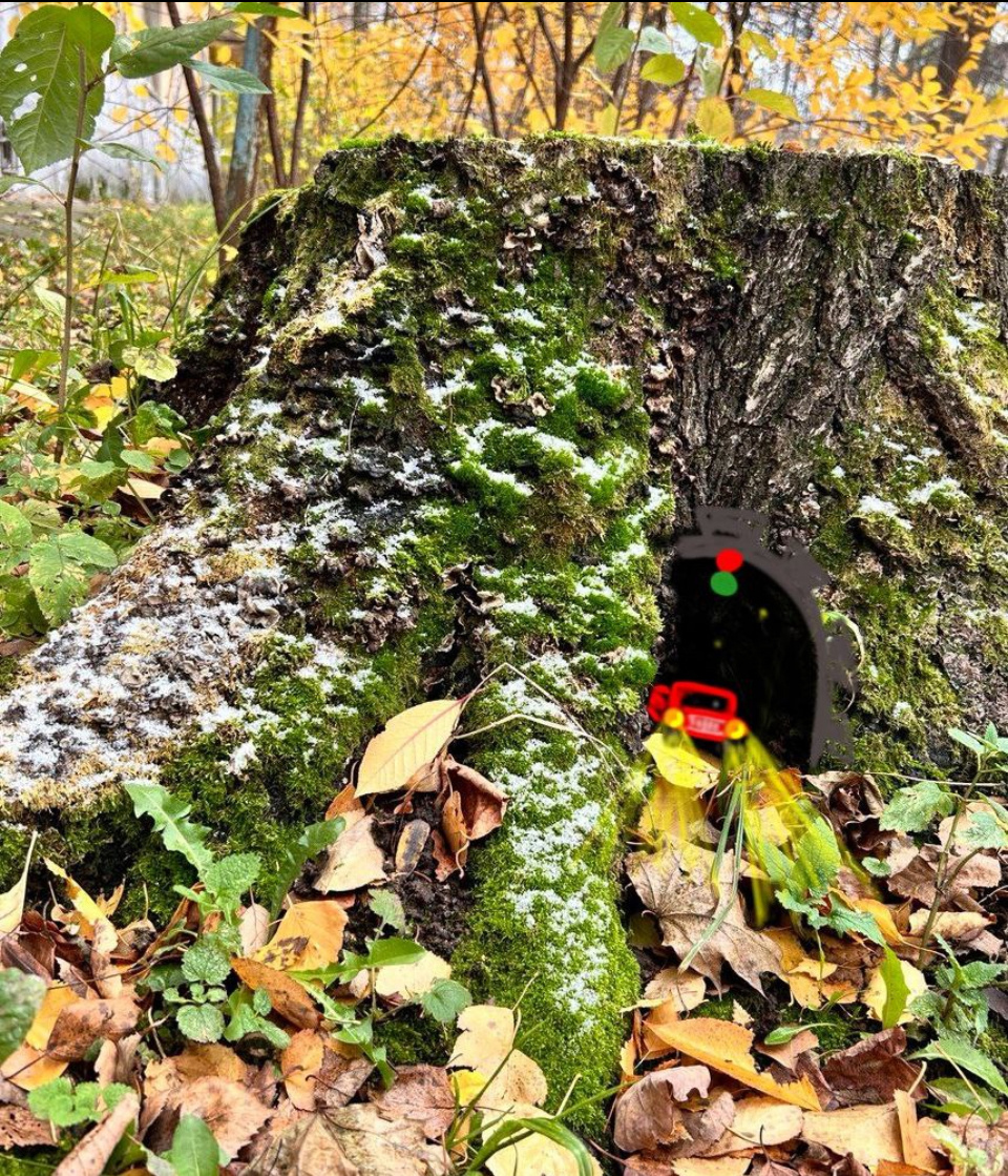 Фото автора