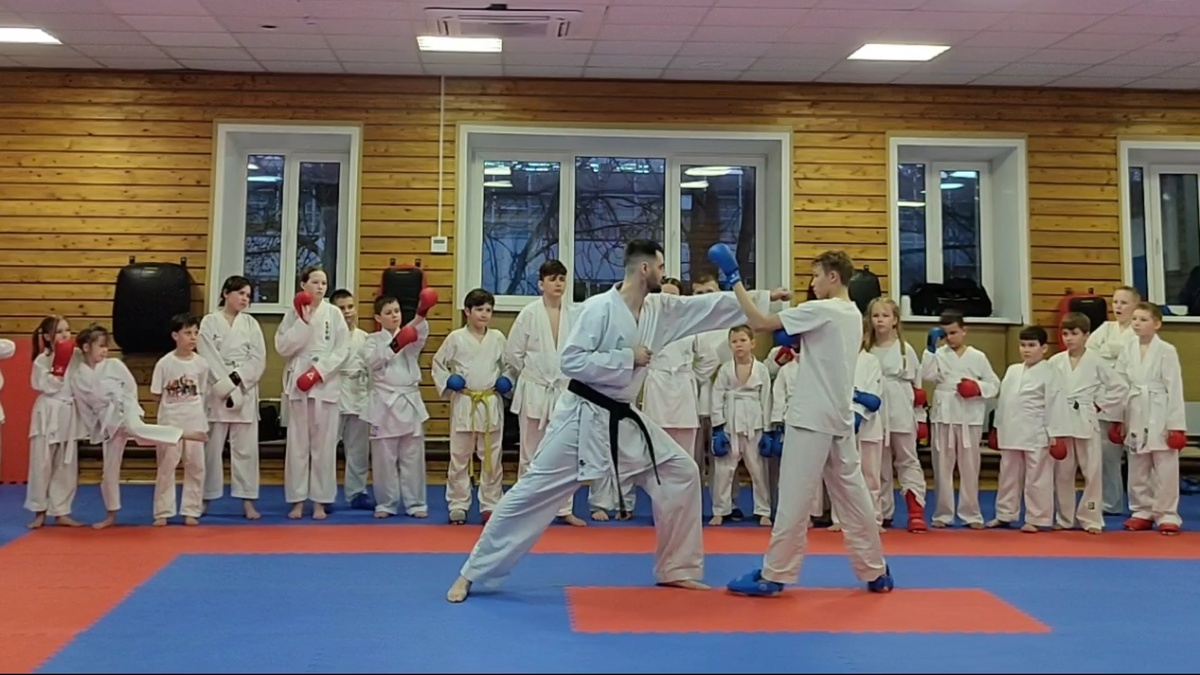 Выпад с ударом рукой