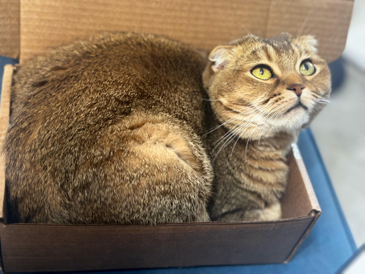 Мэй Ли (из личного архива)