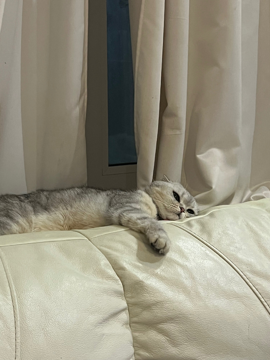 Вечерний релакс на диване, а куда же без этого 