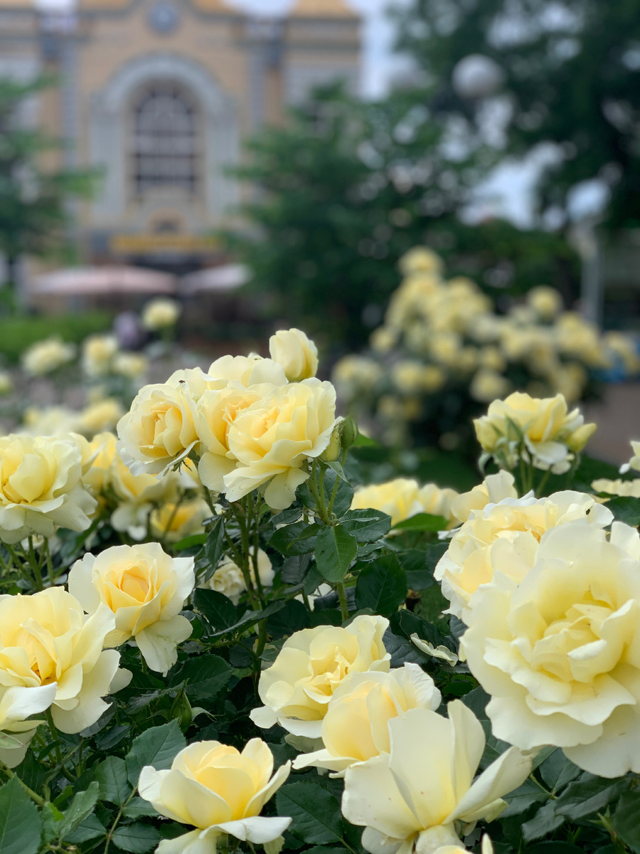 фото Сад в стиле Paradise @