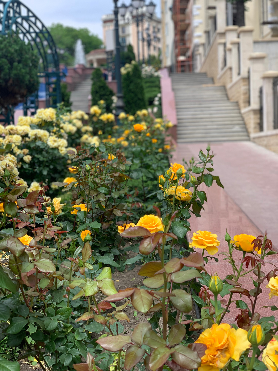 фото Сад в стиле Paradise @