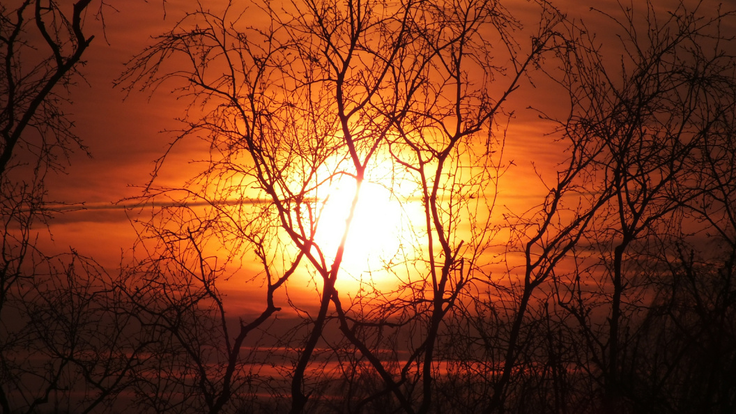    Виктор Л/Globallookpress