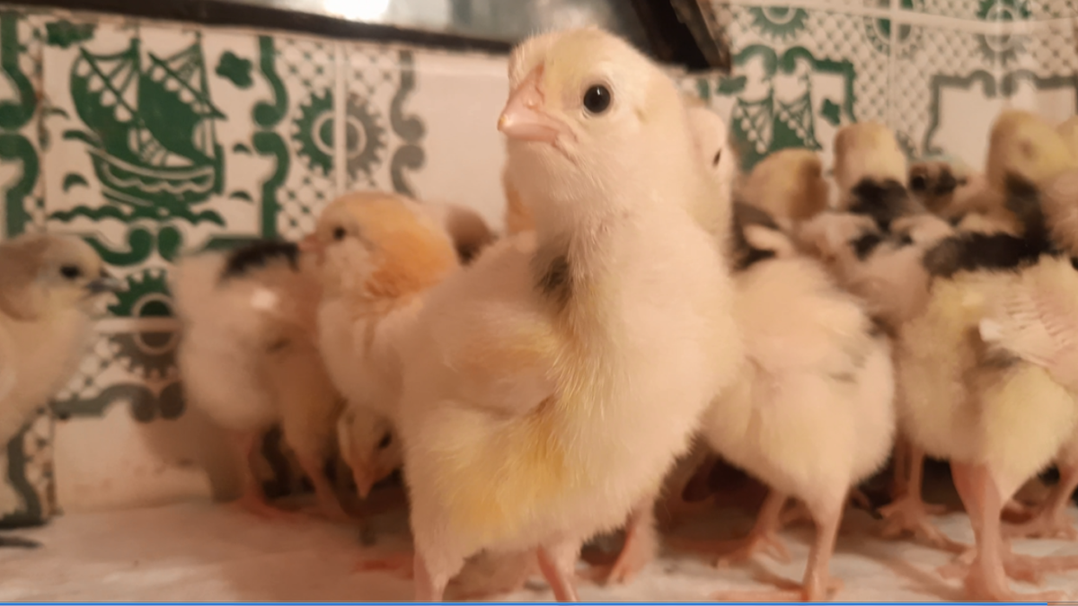 Фото из личного архива автора