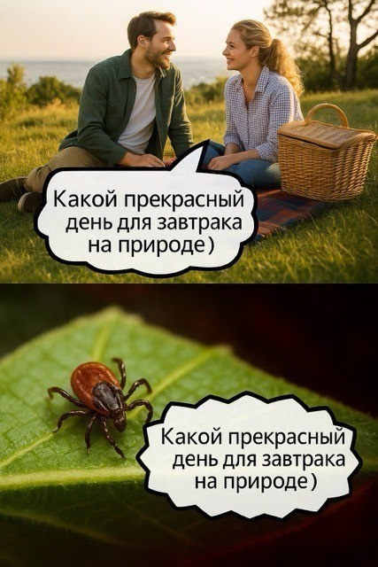 В советское время так людей не пугали, ходили в походы и клещей редко цепляли...