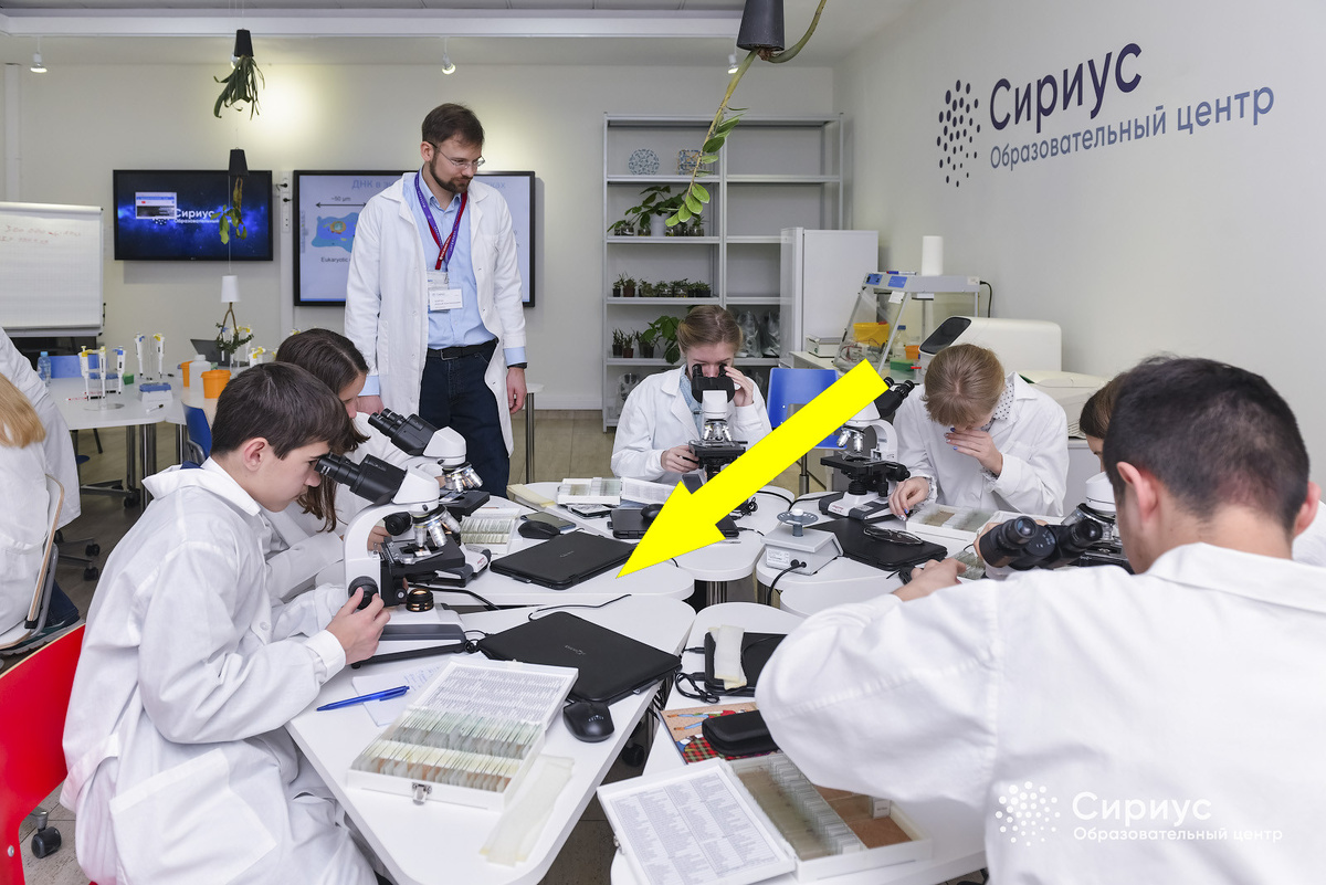    Как российский "Сириус" превращает вундеркиндов в мировых лидеров