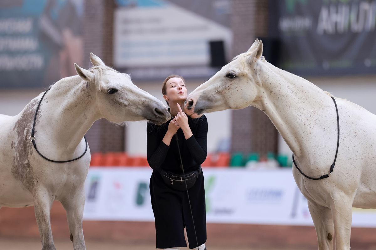 Мария Краснова и орловские рысистые Жамбика и Жемчужина. Фото предоставлено Ассоциацией «Росплемконзавод».