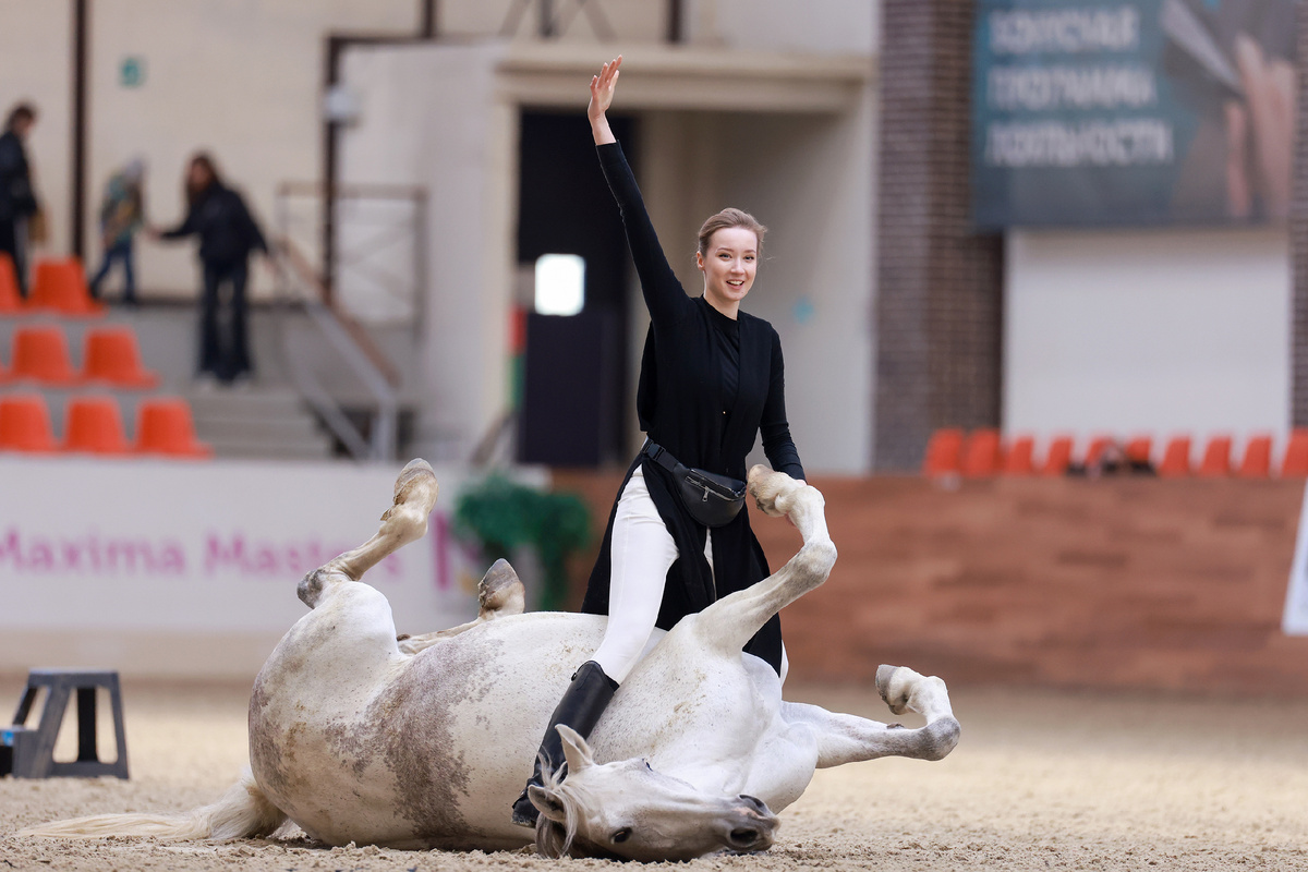 Мария Краснова и орловские рысистые Жамбика и Жемчужина. Фото предоставлены Ассоциацией «Росплемконзавод».