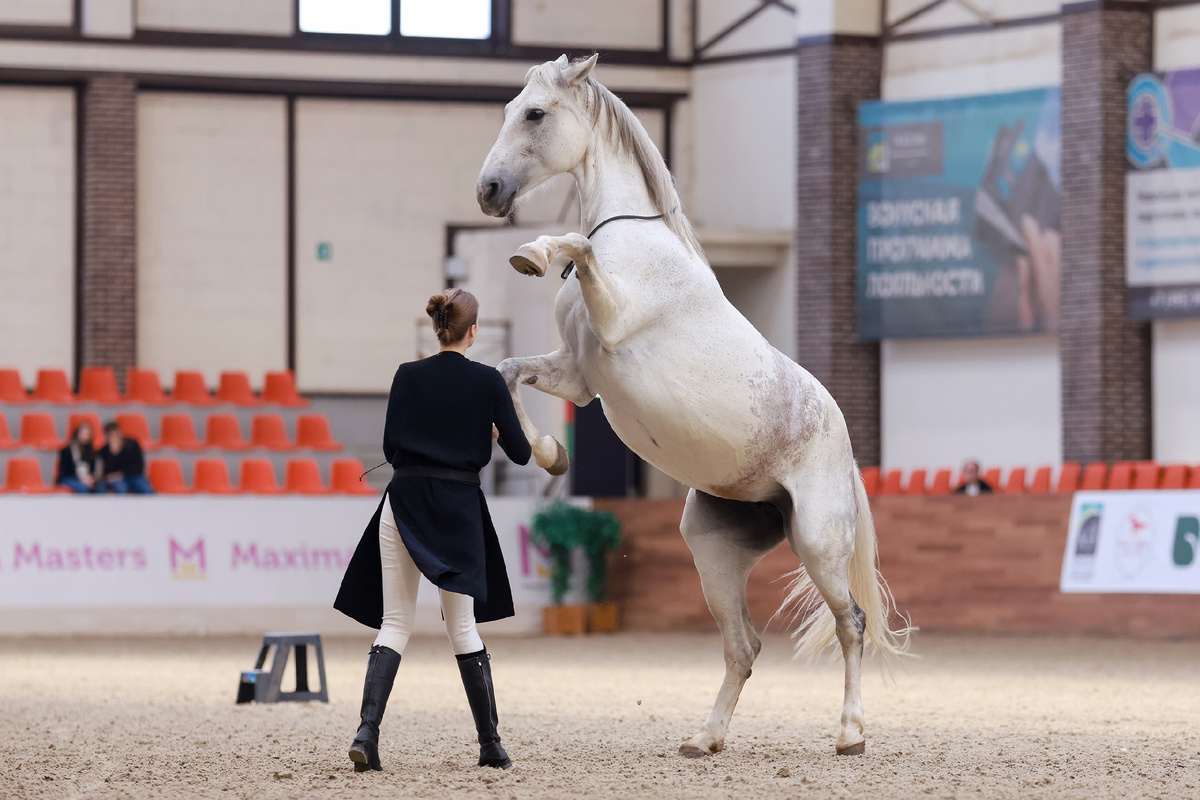 Мария Краснова и орловские рысистые Жамбика и Жемчужина. Фото предоставлены Ассоциацией «Росплемконзавод».