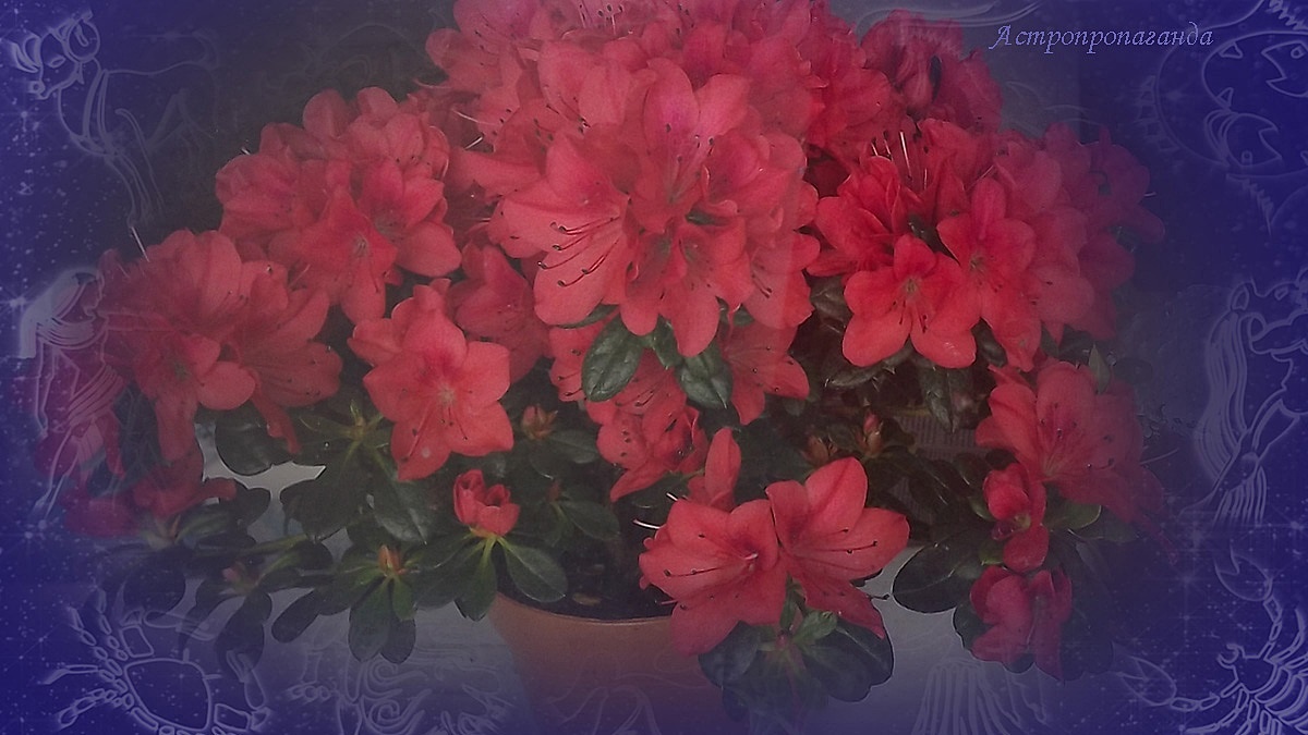 Гороскоп с 14 по 20 апреля 2025: Меркурий, Марс и Солнце меняют знаки. 