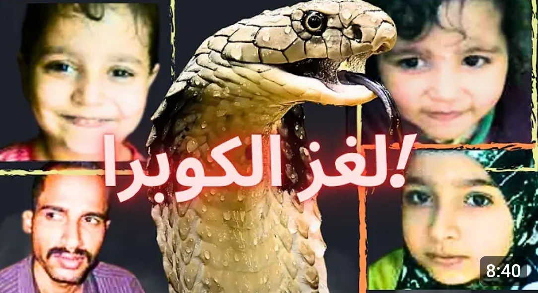 Скрин с видео 