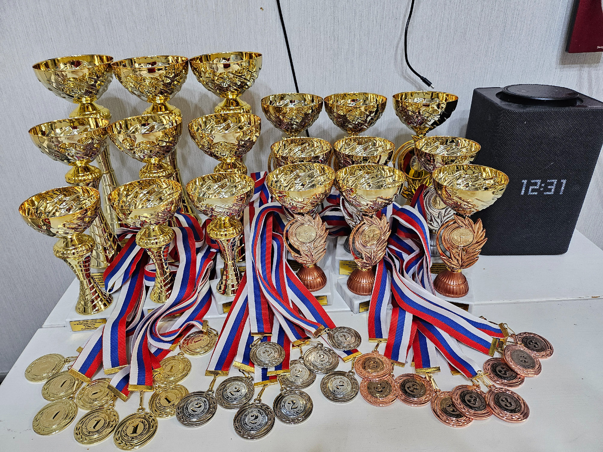 Кубки и медали за IX онлайн-турнир 