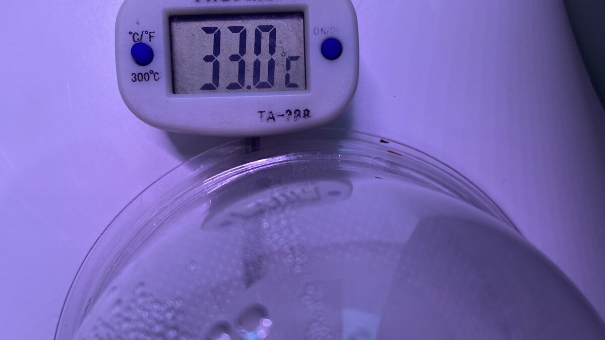 Температура подогрева