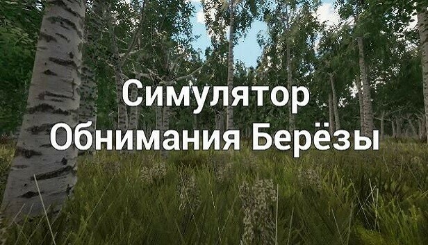 Люблю обнимать берёзки, но не настолько