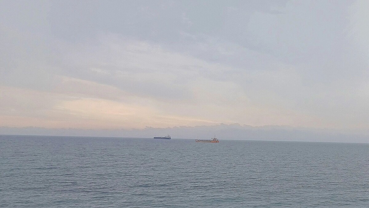     Автор: KubanPress