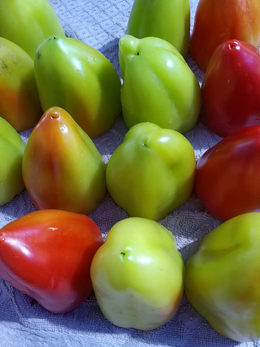 фаршированные перцы рецепт заготовки на зиму 