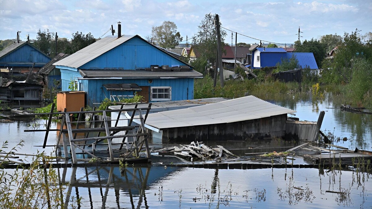     Источник: Пресс-служба губернатора и правительства Хабаровского края