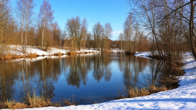 Фото: Изображение создано с помощью нейросети «Шедеврум» 