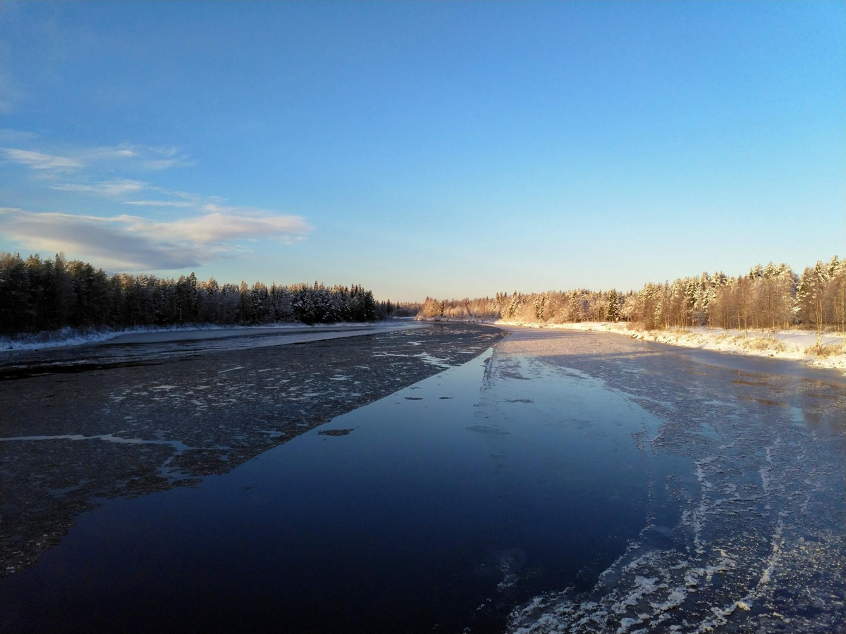 @EyeEm / freepik.com