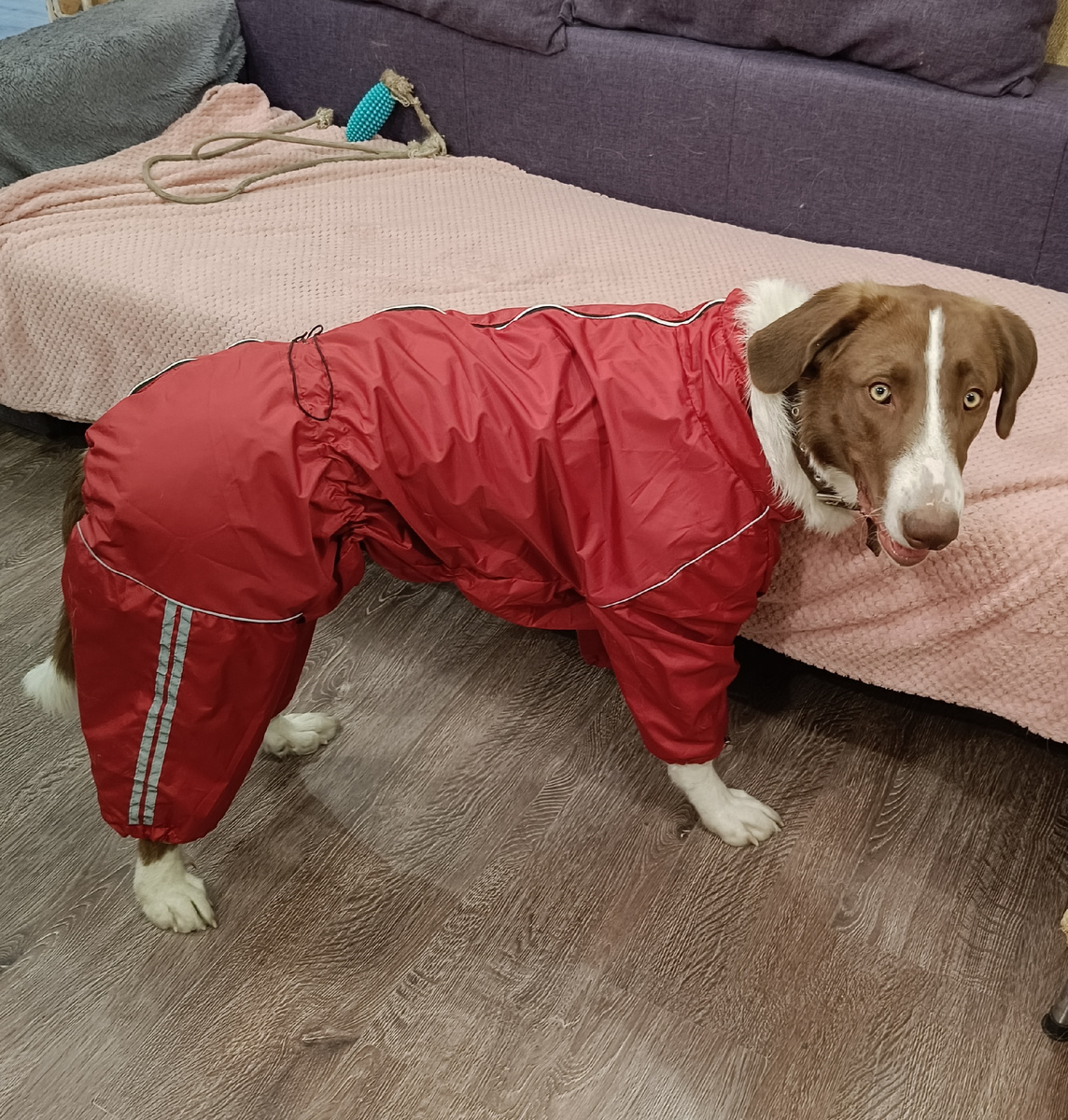 Вы уверены, что оно мне надо?