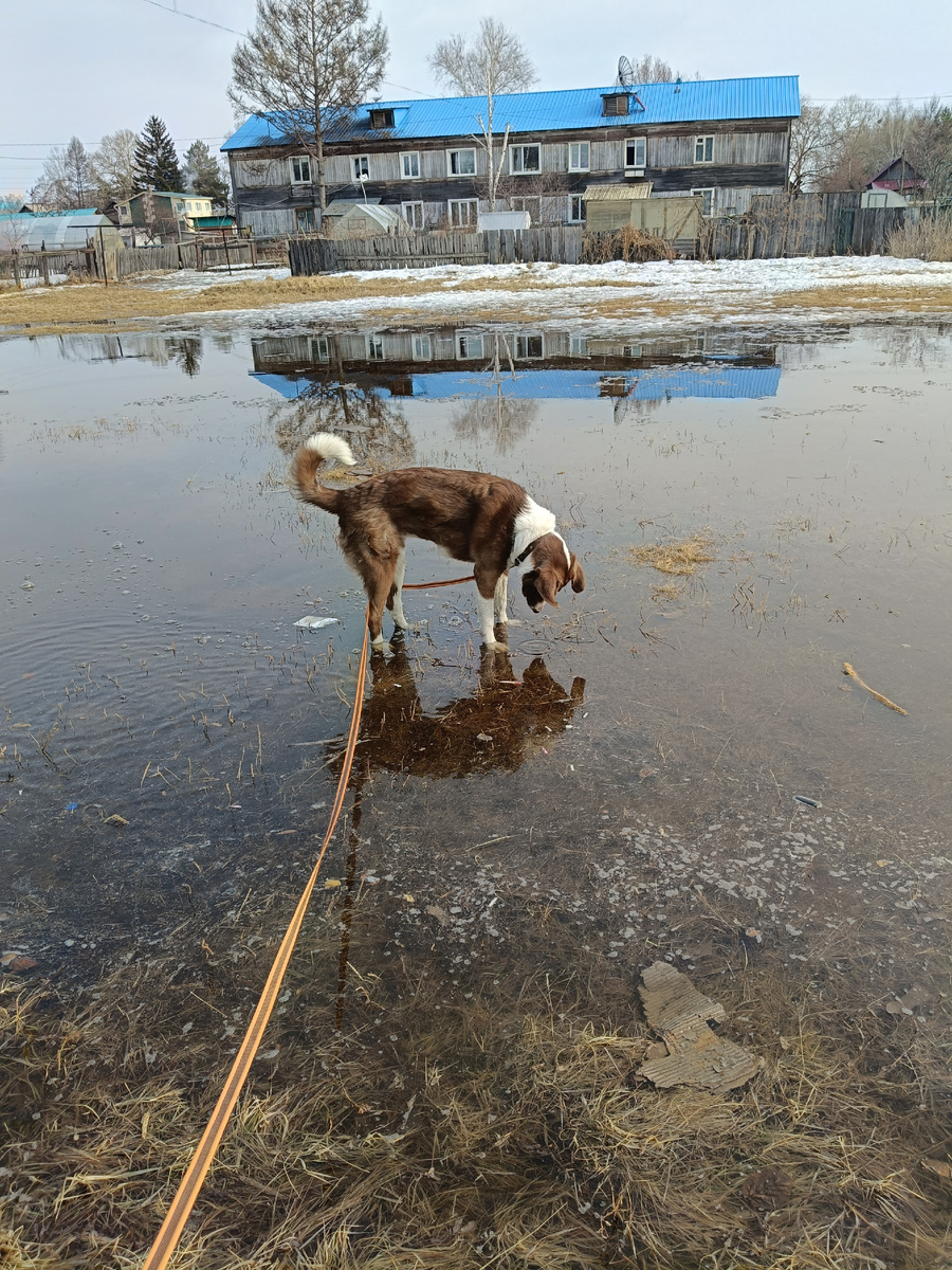 А кто это там такой красивый отражается?