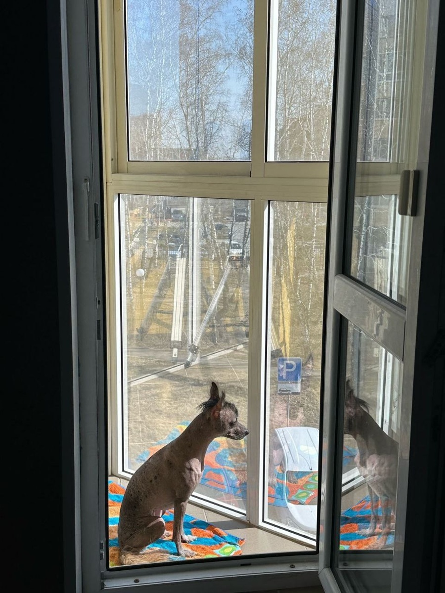 -2-2