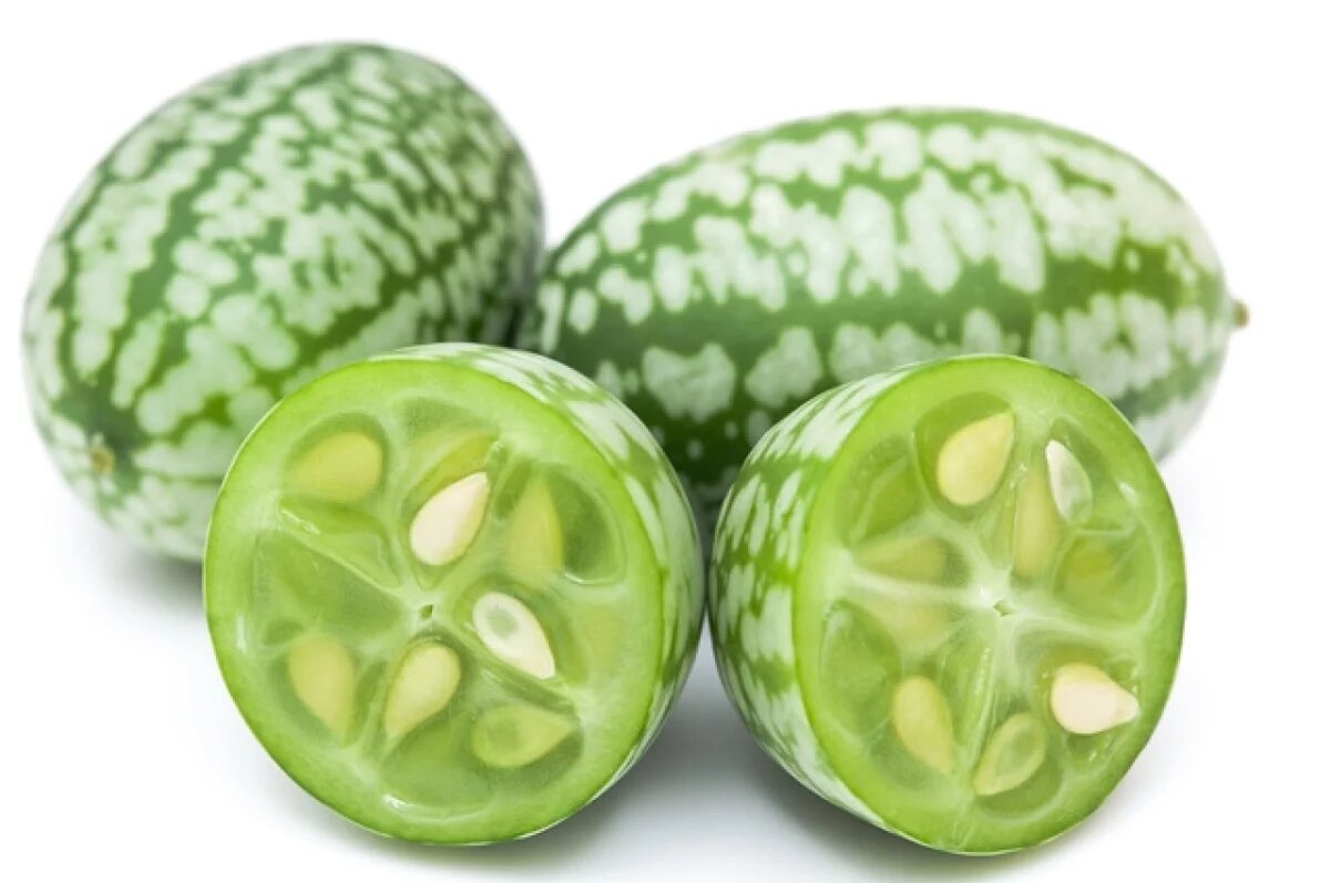    Как в Тюменской области вырастить огурдыню, рассказала опытный садовод