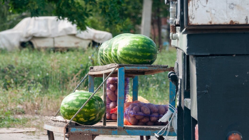    Фото: Svetlana Vozmilova/Globallookpress