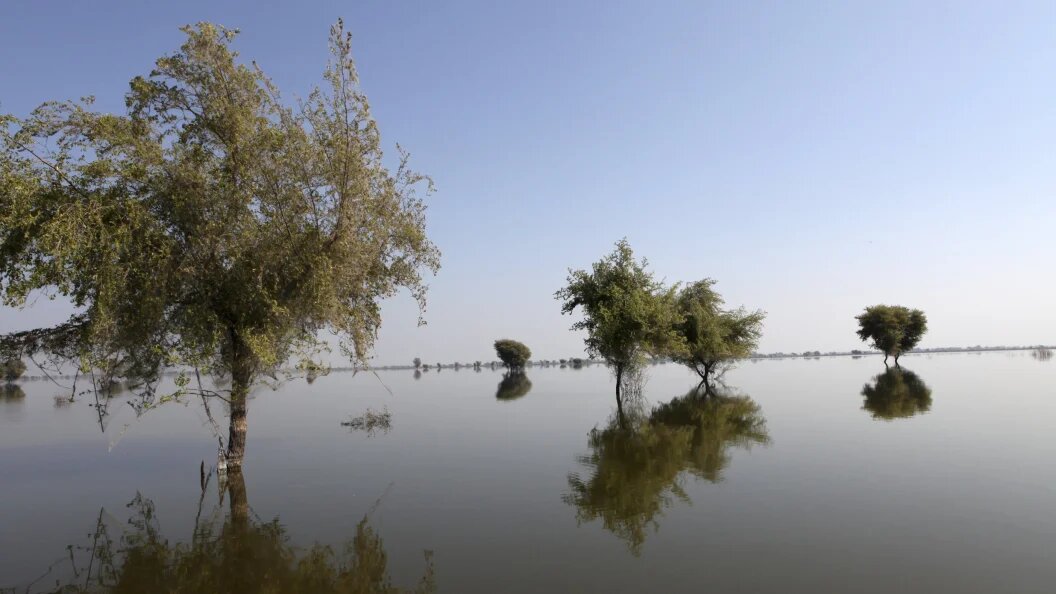    Фото: Ton Koene/picture alliance/Globallookpress