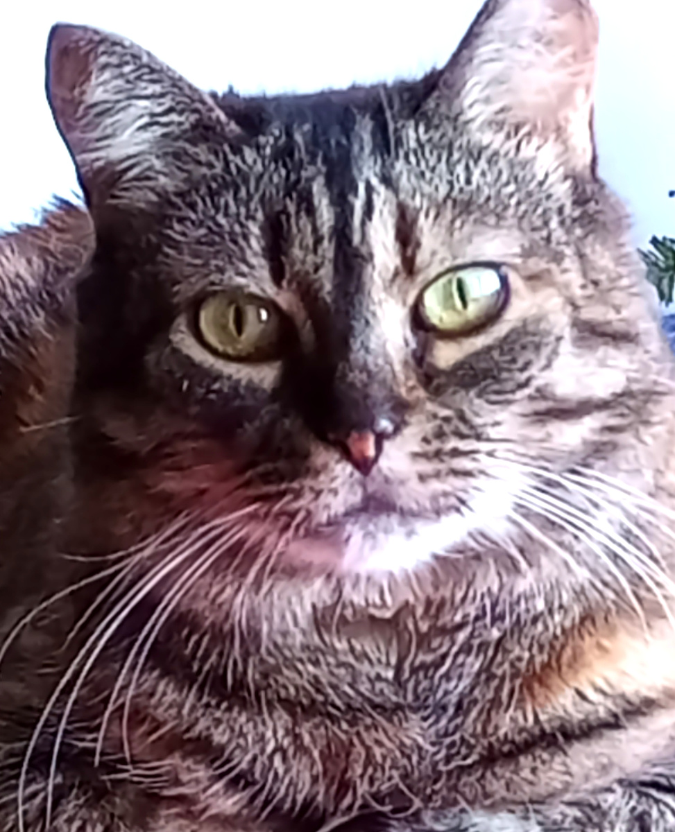 На фото Маруся