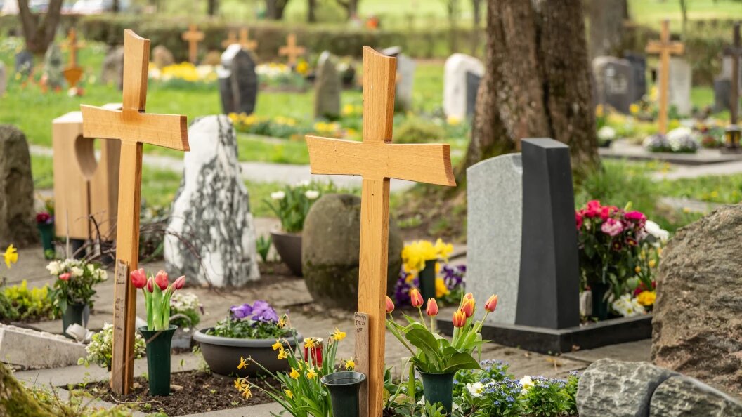    Фото: Silas Stein/Globallookpress