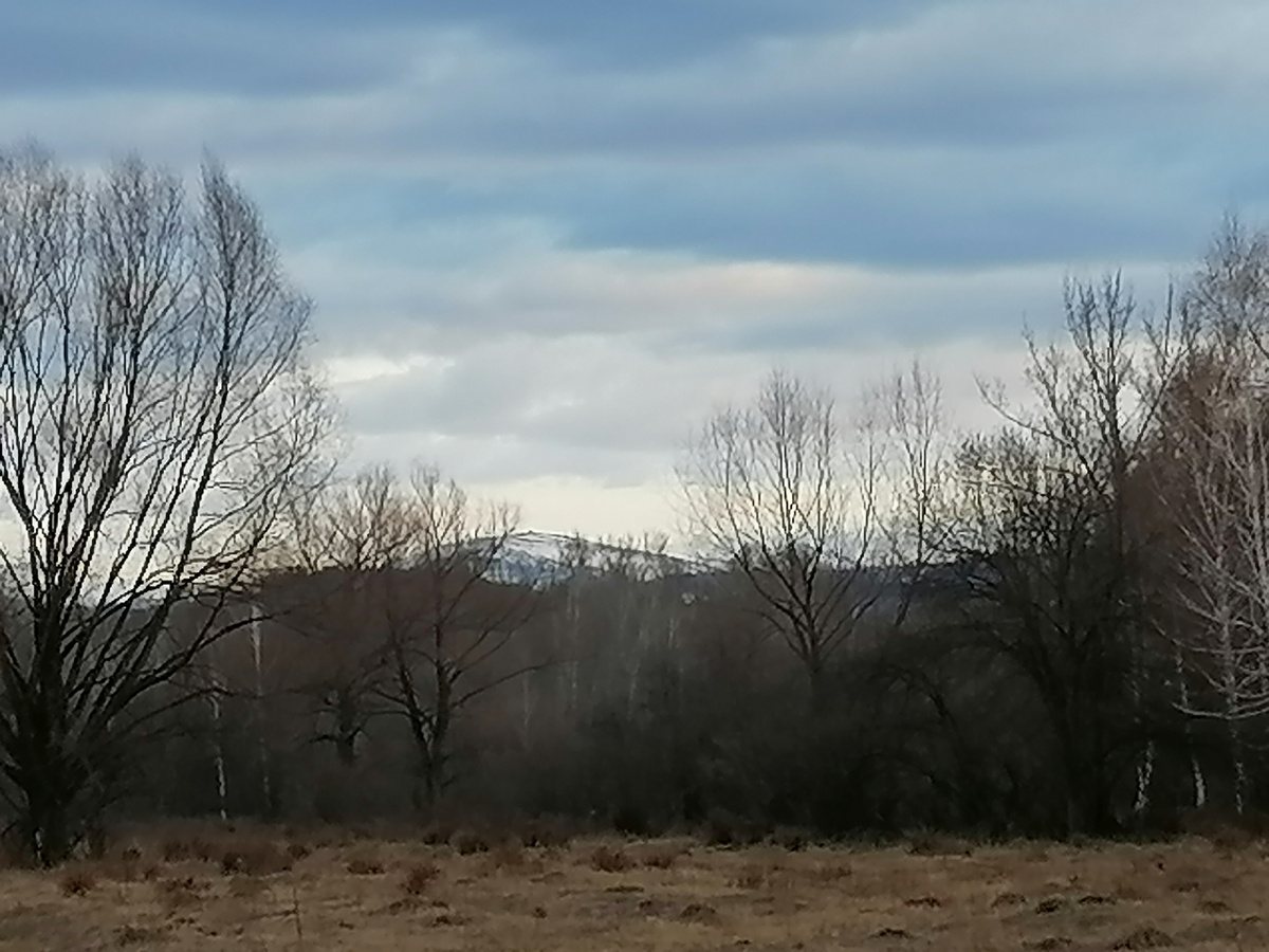 Вот прямо сегодня уже пасмурно.