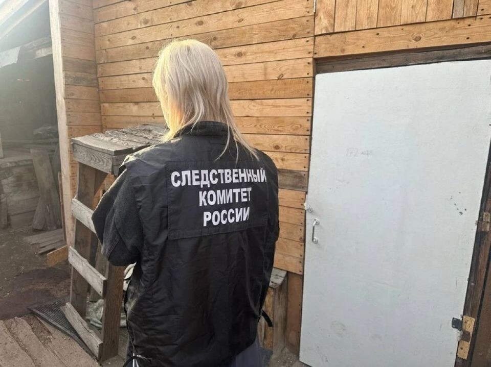    Убийство детей в Канске. Источник: СУ СК России по Красноярскому краю и Республике Хакасия