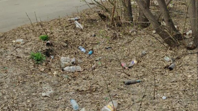     Мусор Предоставлено altapress.ru