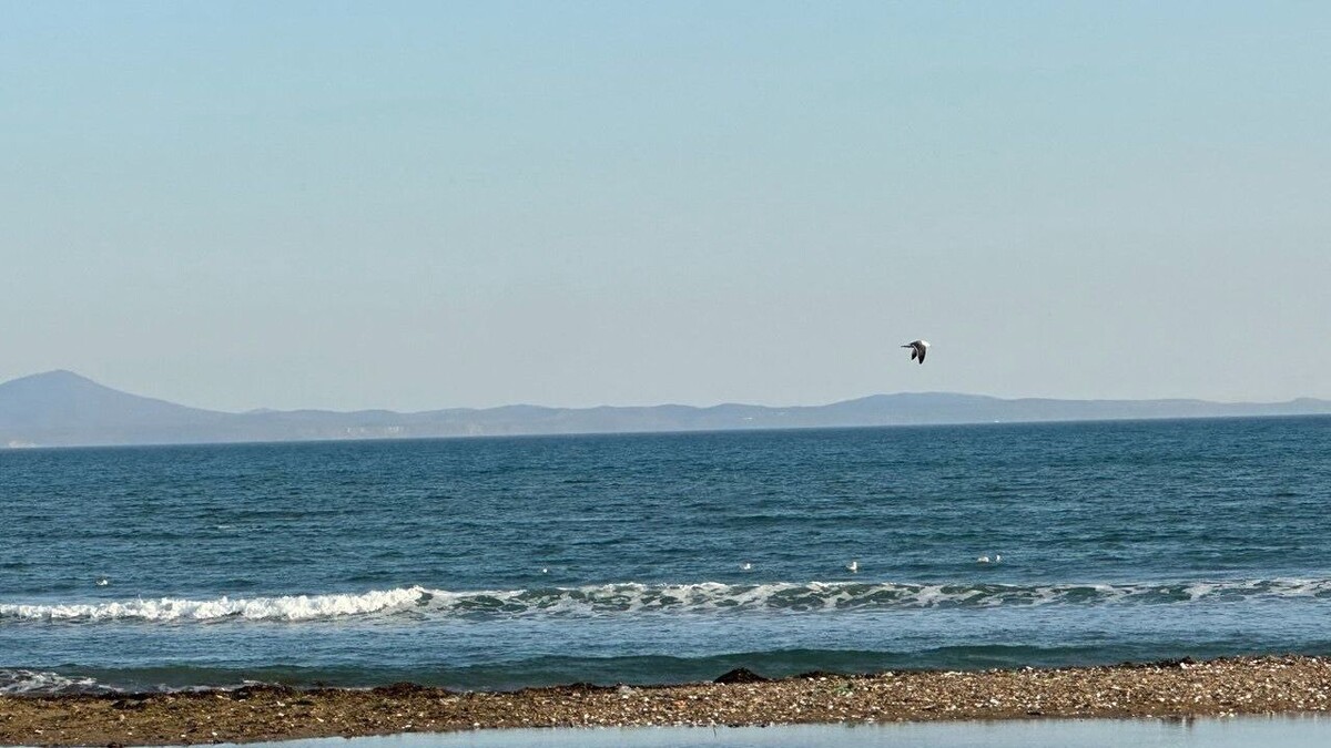     Источник: vostokmedia.com