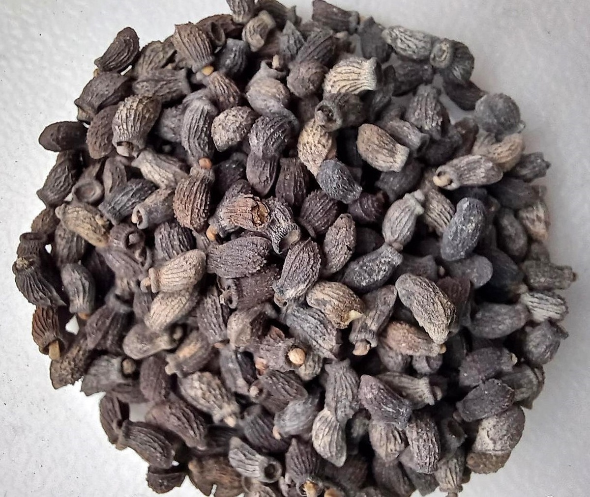 Семена бораго. 